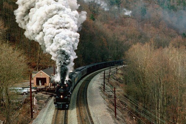 Tren negro contra los árboles de otoño