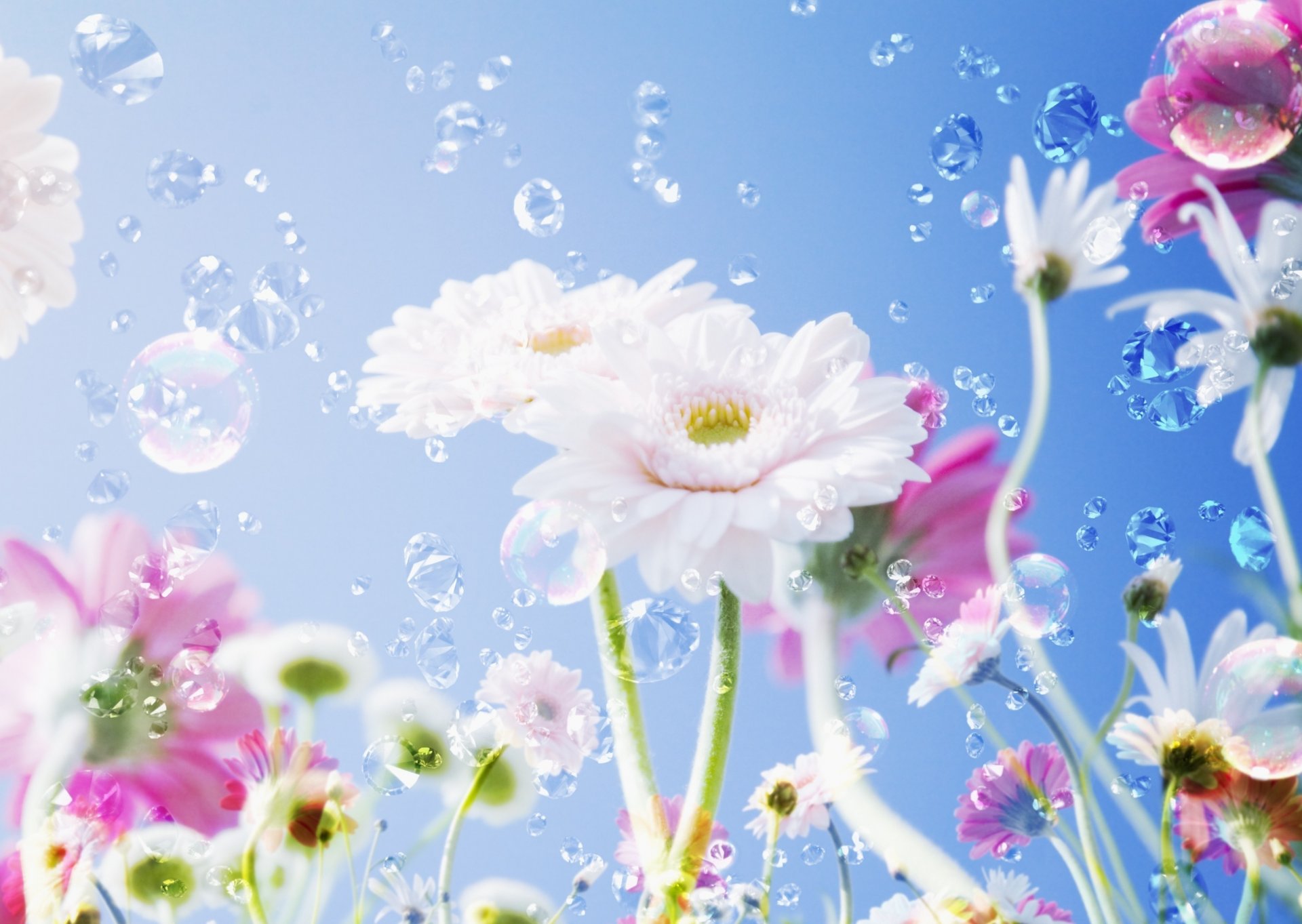 flores primavera flores blancas gotas de agua cielo