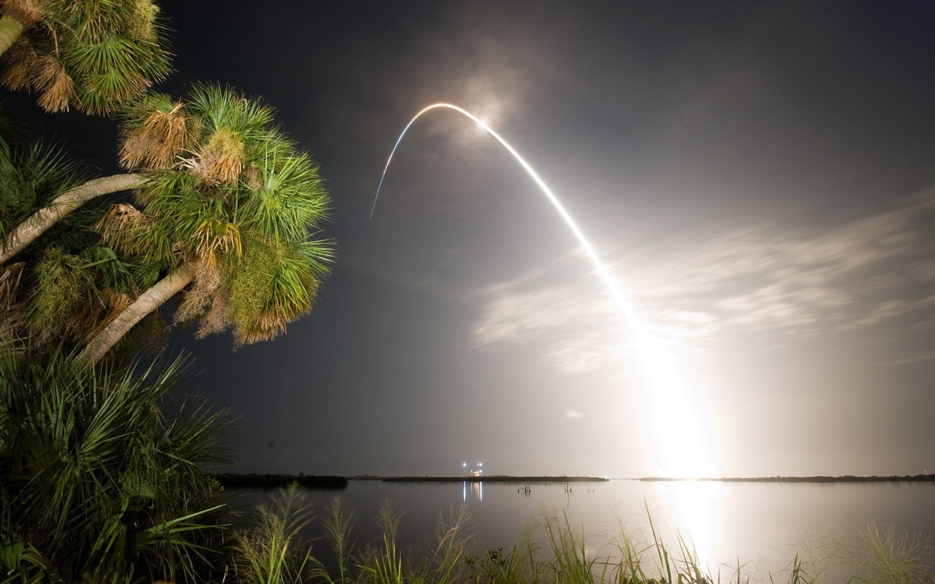 laserlinie palmen wasser horizont nacht himmel