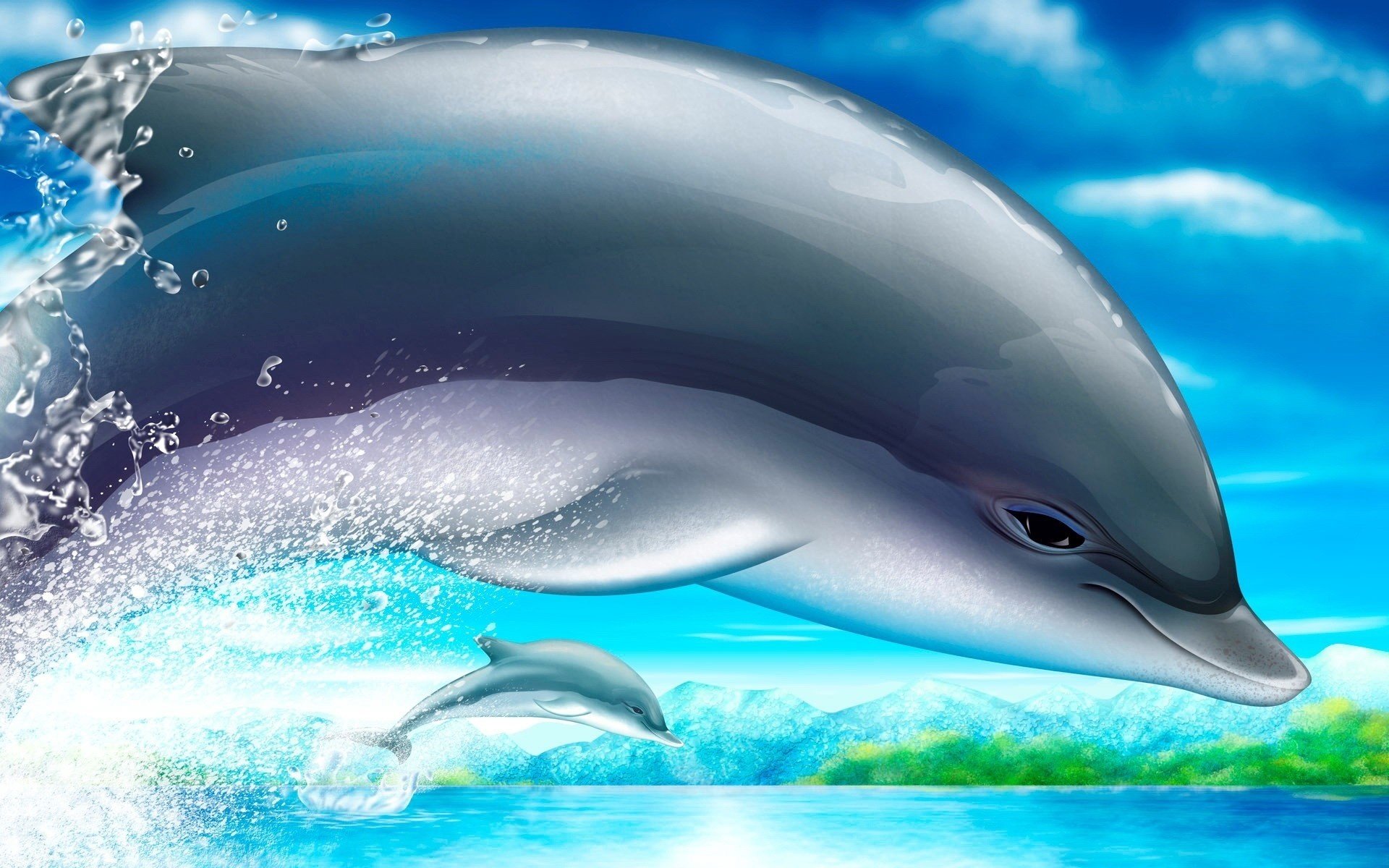 dauphin mer dessin nature sauvagine dessins anime