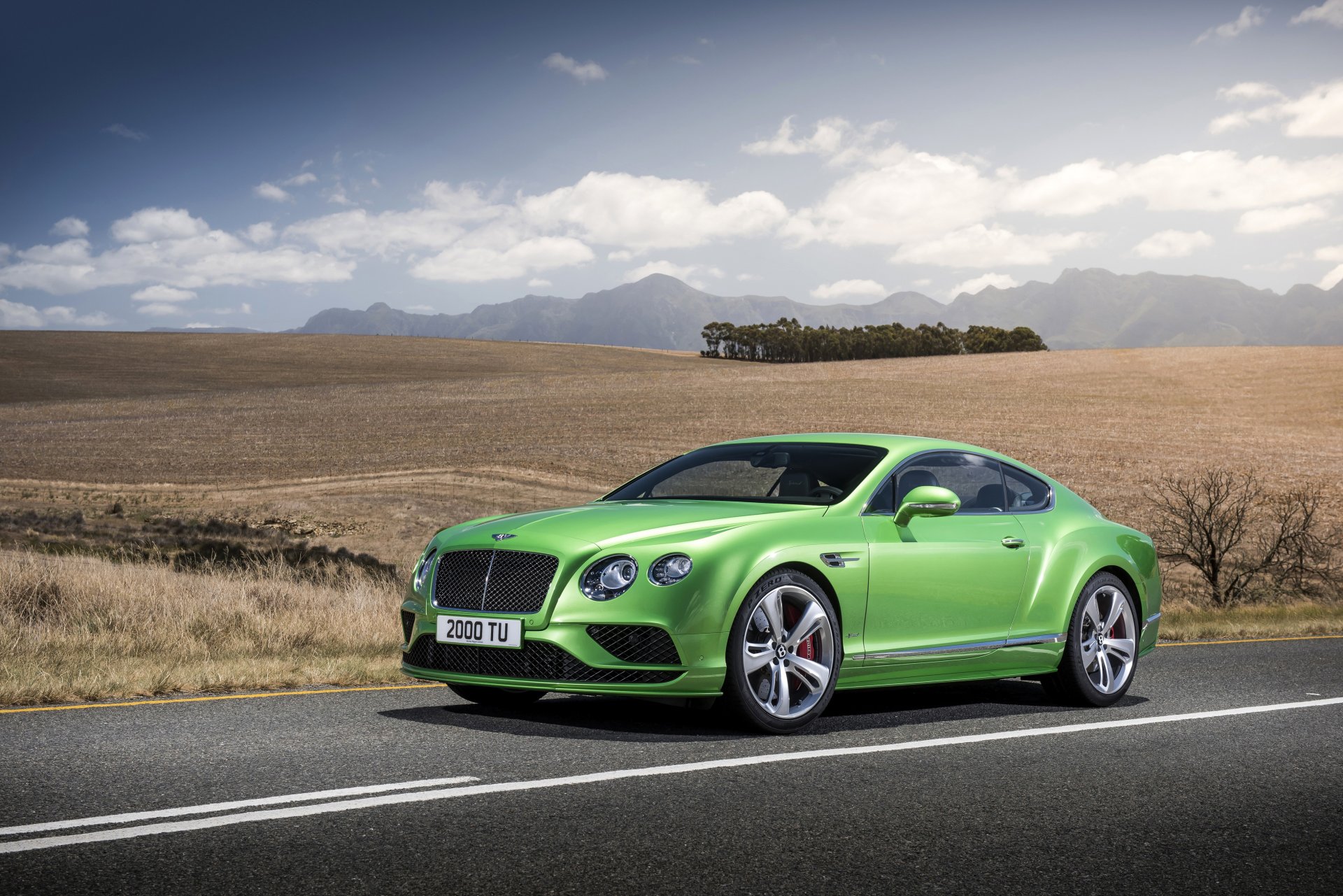 bentley 2015 continental gt speed vert clair métallique de luxe automobile photo