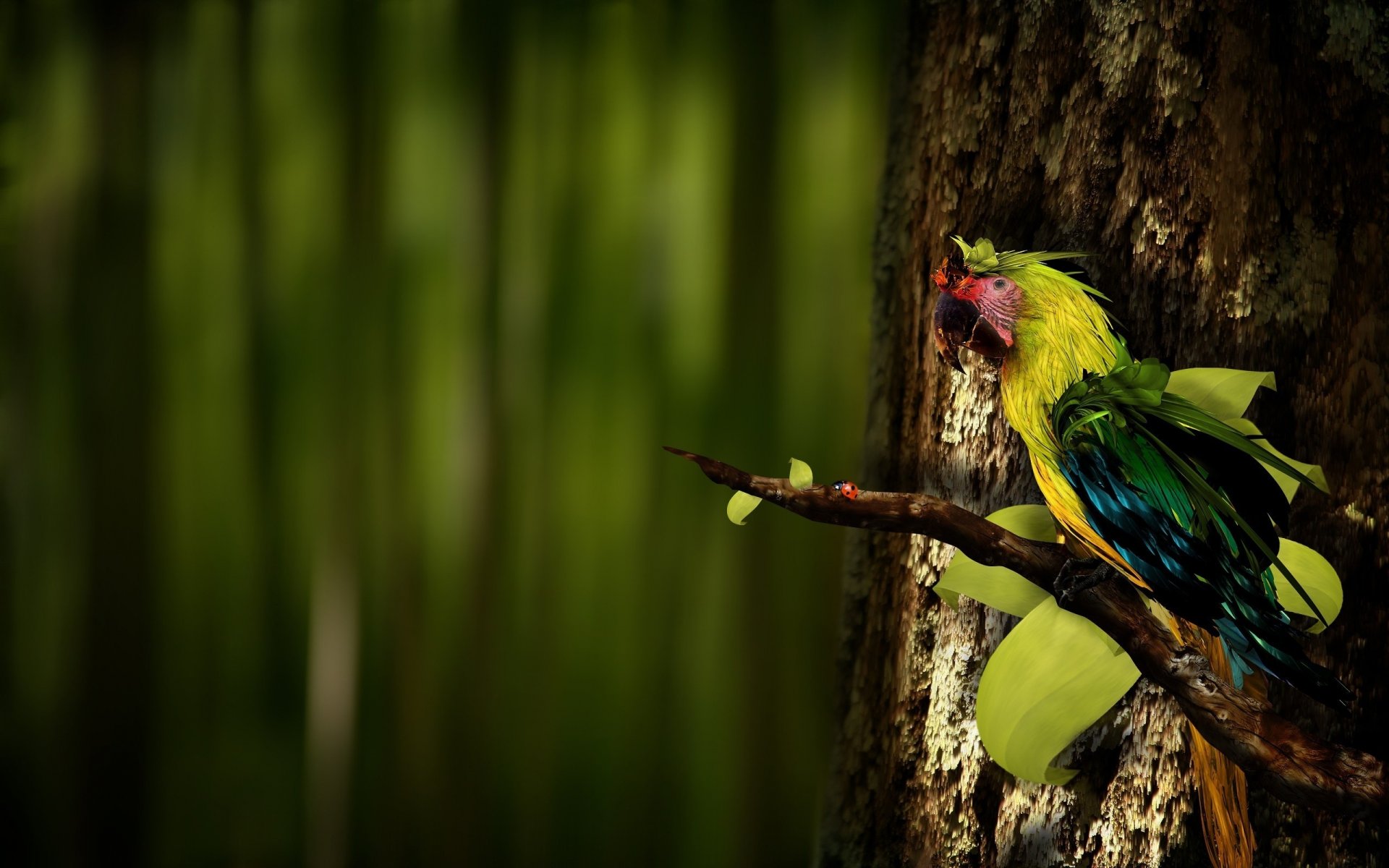 loro rama plumas de colores pico aves plumas creativo creativo