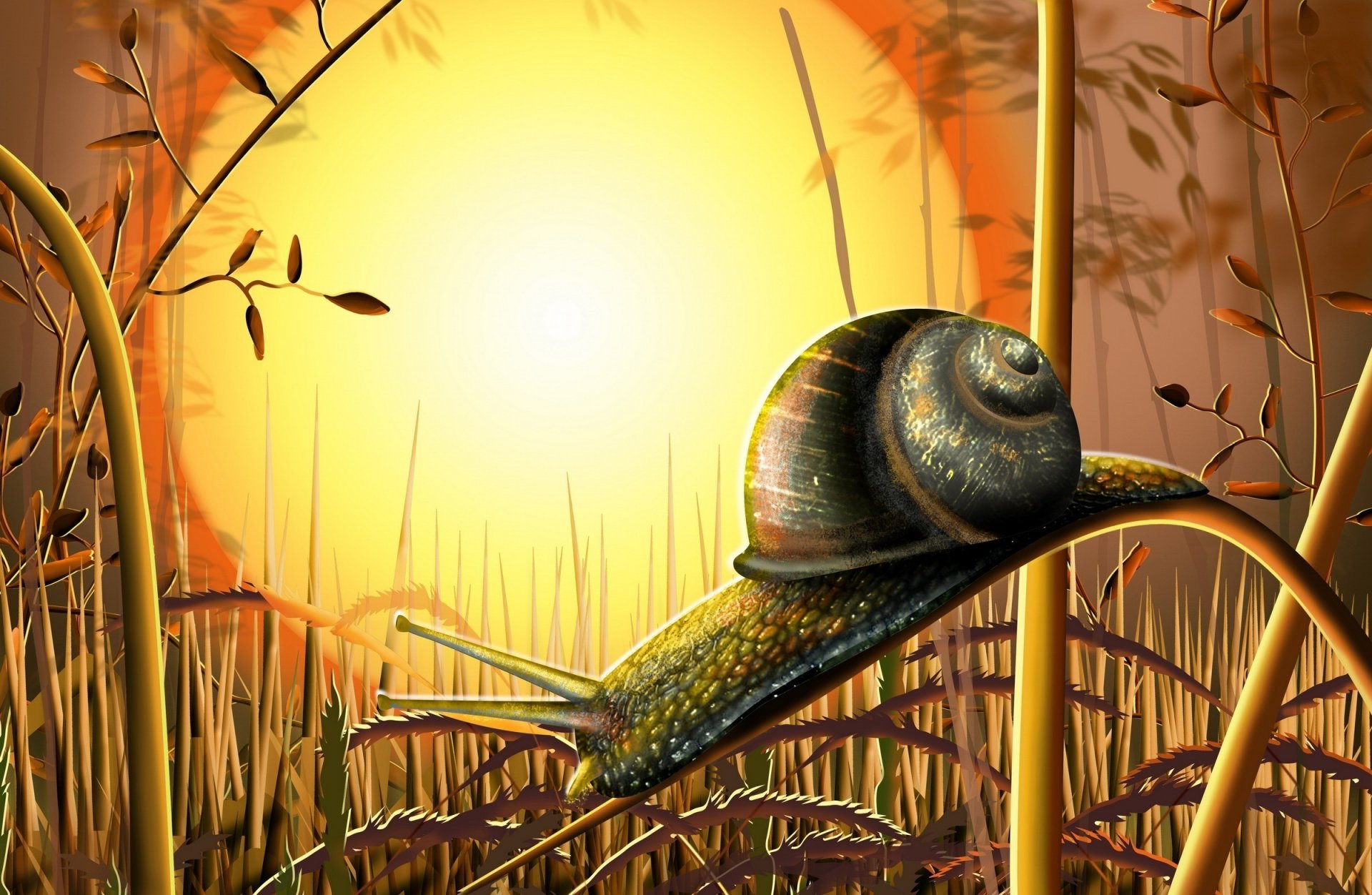 zeichnung schnecke sonne gras natur blätter zweig zeichnungen anime