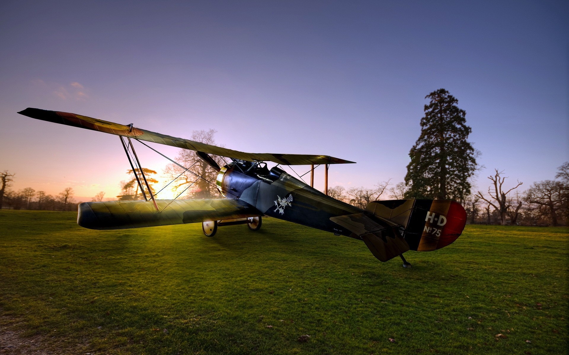 aereo mattina aviazione