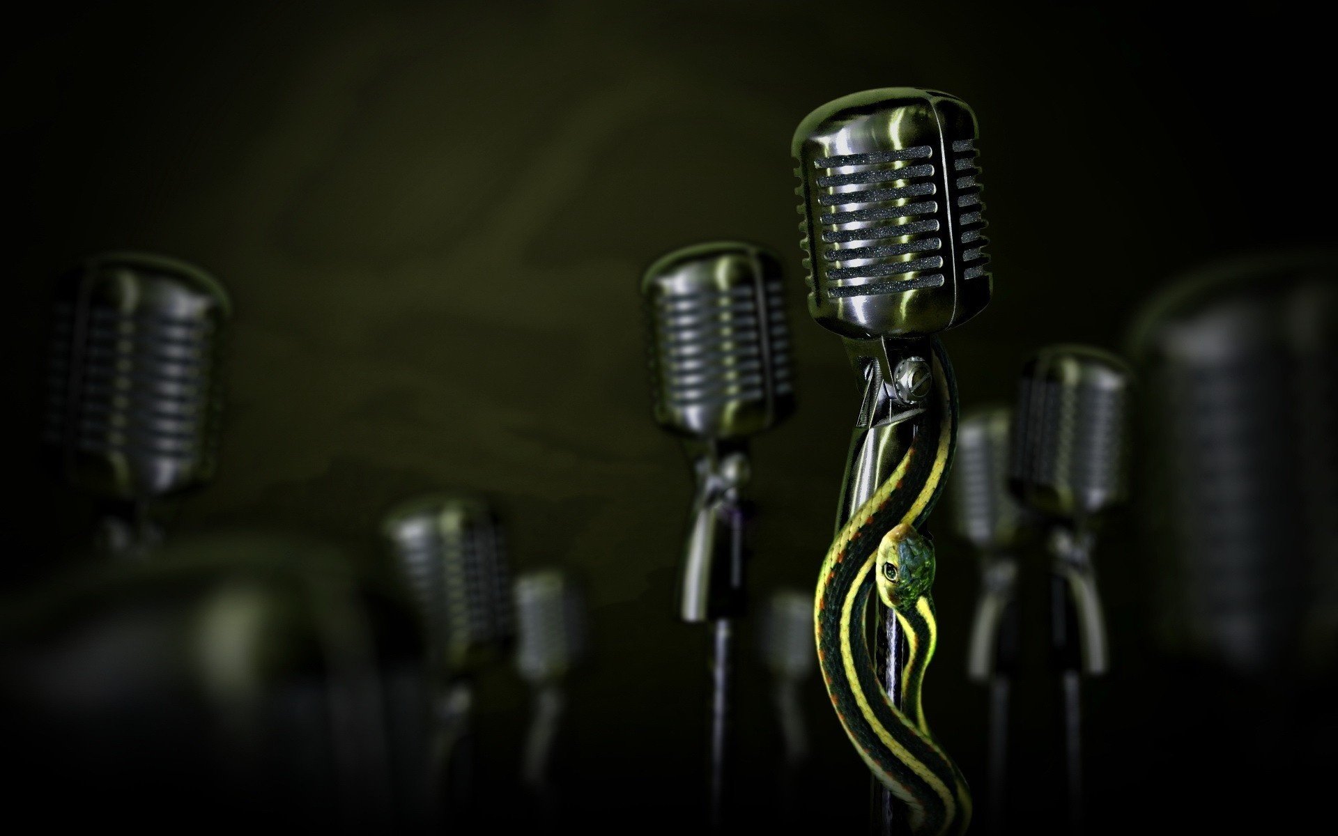 microphones metal snake