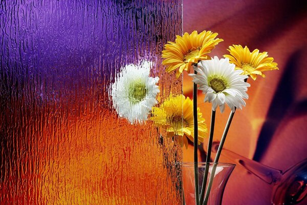 Bouquet of yellow and white daisies in a vase