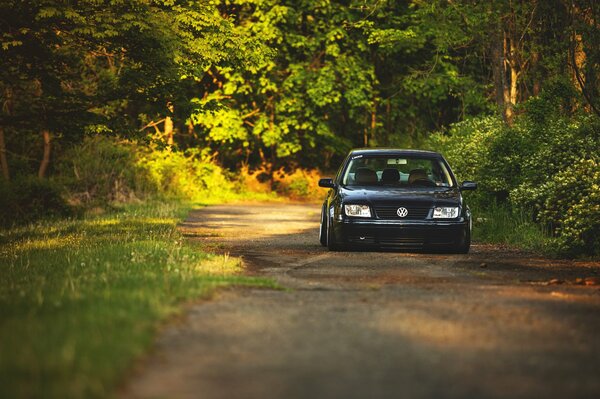 Volkswagen black in the woods on the road