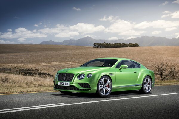 Luxury car of light green color