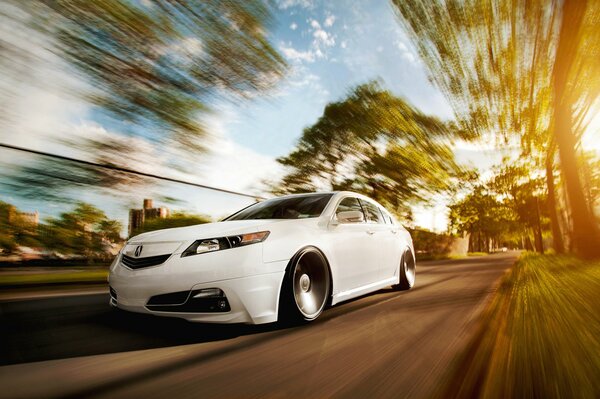 Honda accord blanco sobre fondo borroso