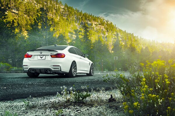 White bmw m4 f82 coupe body on a forest background