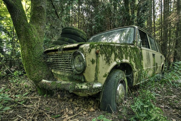 Altes russisches Auto im Wald vergessen