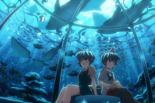 Zwei Anime-Mädchen beobachten Fische im Aquarium