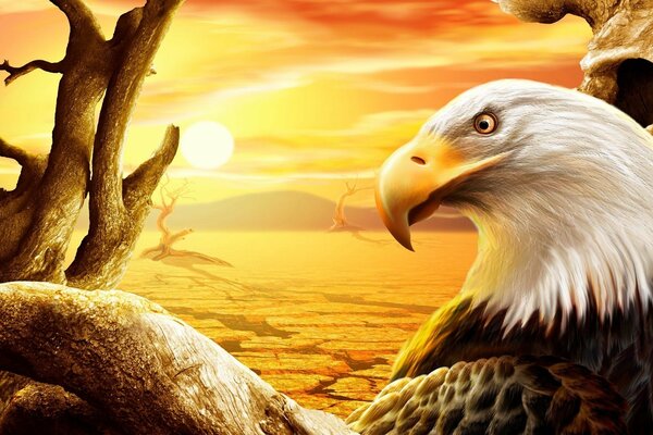 Abbildung eines Adlers, der die Bestellung in der Wüste mit rissigem Boden betrachtet