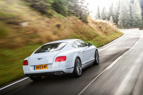 Blanco Bentley en el tráfico a gran velocidad en el bosque