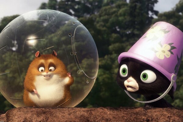 Hamster dans une bulle. Chat avec un seau sur la tête