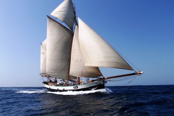 Nel mare blu aperto c è uno yacht