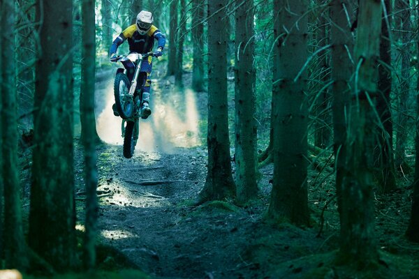 Motorcyclist on a bike on a forest road