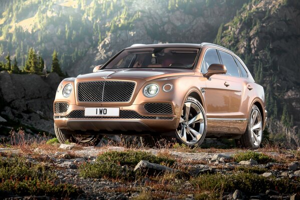 Superauto Bentley di colore marrone