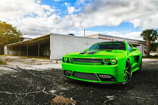 A tuned green foreign car near the garage