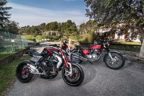 Honda sports motorcycles on asphalt