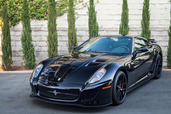 Tui with a ladder. Black Ferrari 599 gtb fiorano