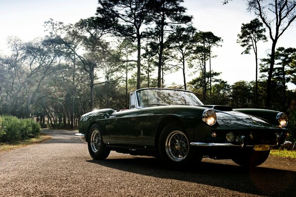 Beau cabriolet noir dans la nature