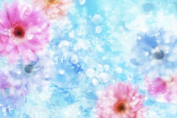 Kolaż różowe kwiaty na niebieskim tle