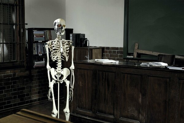 A skeleton with a red eye in the office