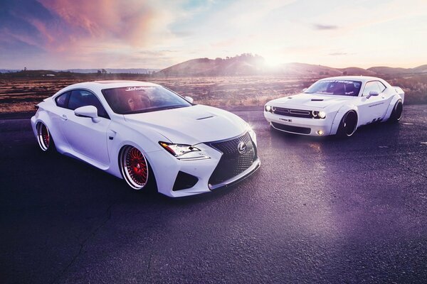 Two white sports cars on the background of the rising sun