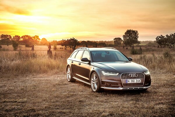 2015 Schwarzer Audi bei Sonnenuntergang in der Savanne