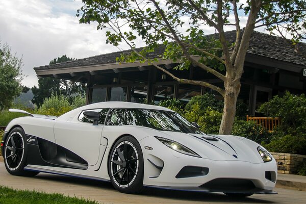 Koenigsegg agera white in the yard