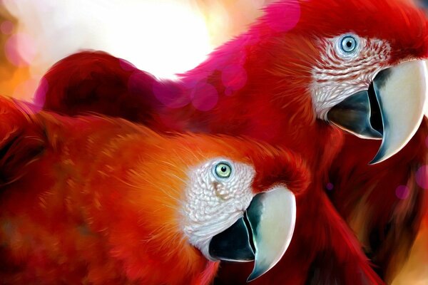 A pair of red macaw parrots are looking in the same direction
