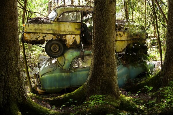 Broken cars in the forest turned into a work of art