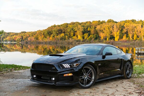 Ford Mustang on the background of yellow leaves