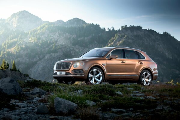 A brown Bentley is standing on a mountain