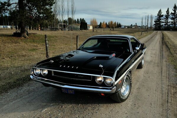 Challenger fondo negro primer