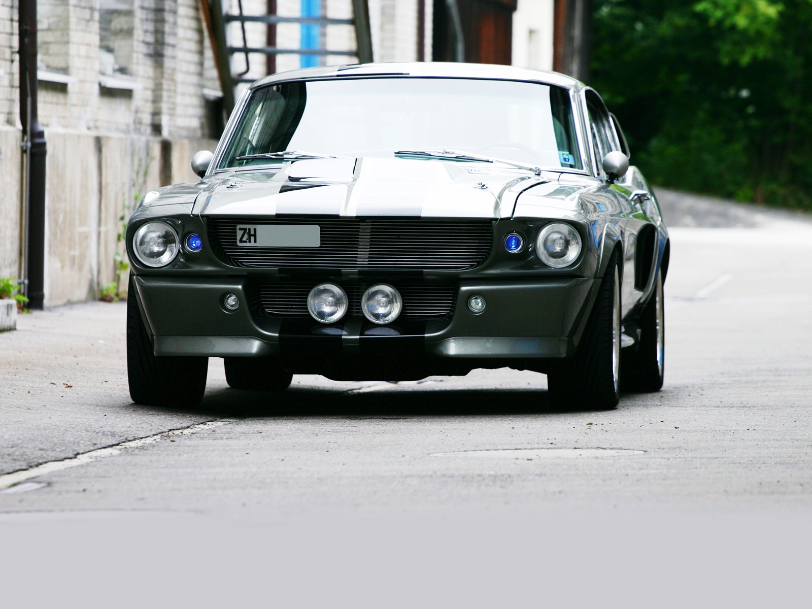 шелби gt500 элеонора