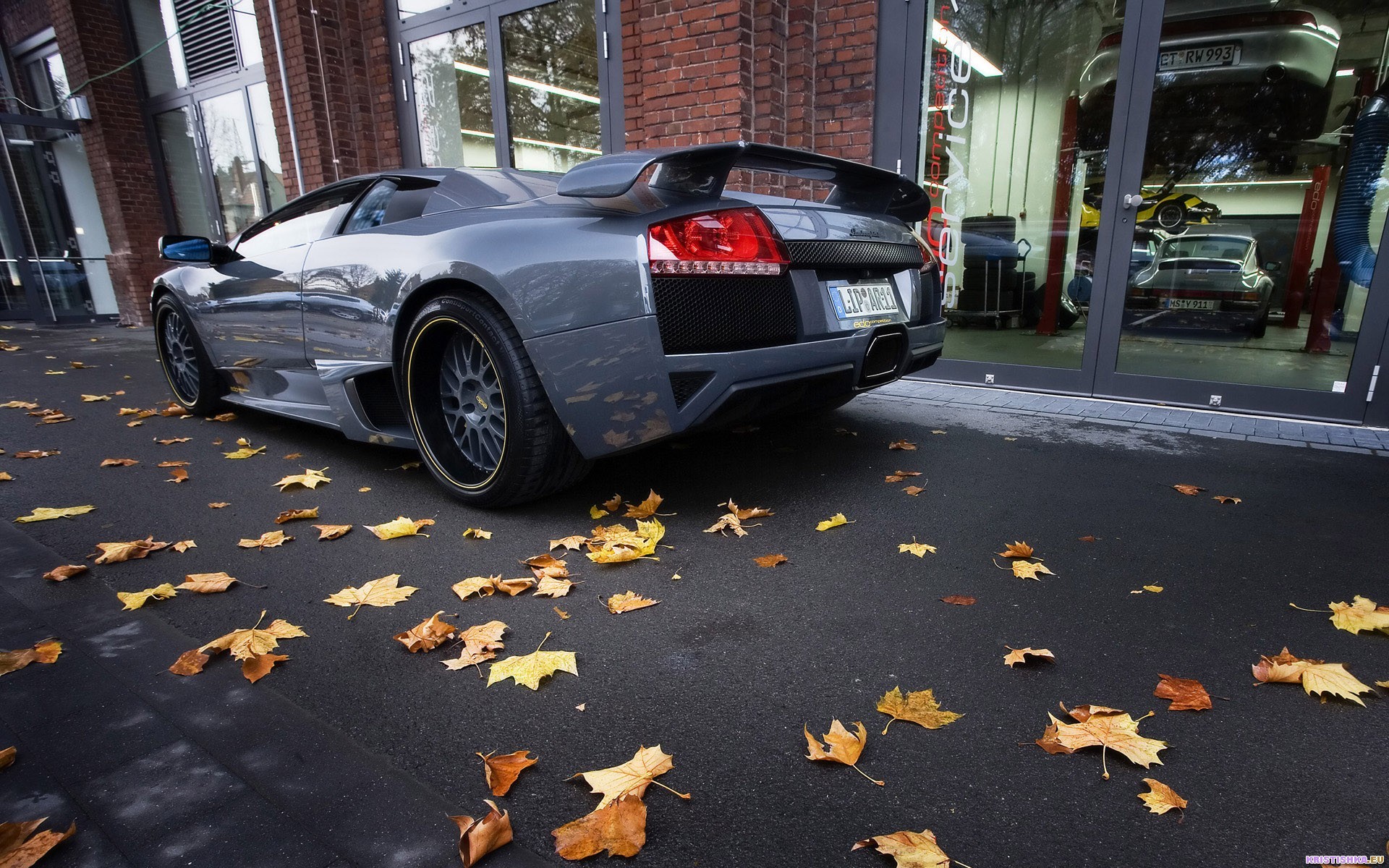 lamborghini murcielago foglie