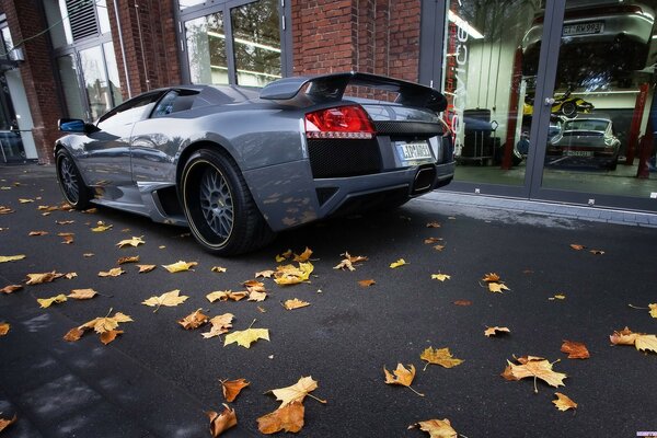 Voiture de course sur asphalte avec des feuilles d érable jaunes