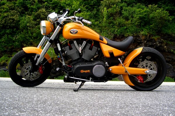 Orange chopper on a green background