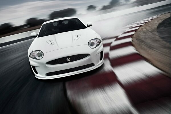 Jaguar blanco HCR ediciones especiales de la velocidad