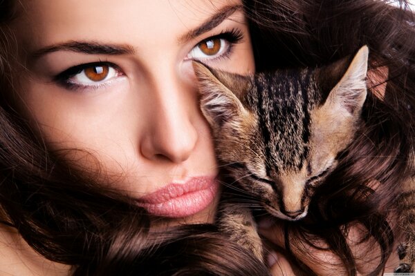 Fille brune visage avec chaton