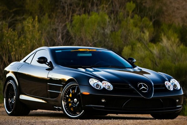 Black luxury car in nature