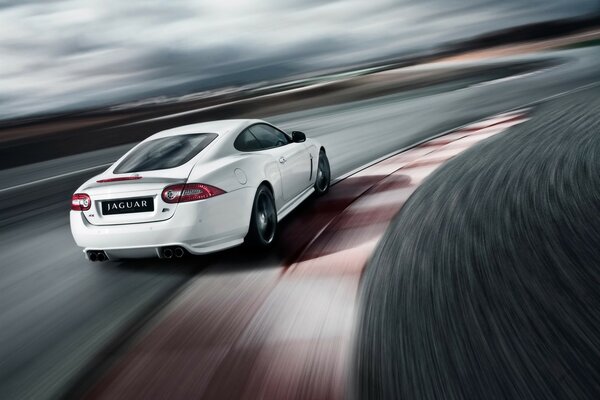 Weißer Jaguar hcr mit Sonderausgaben der Geschwindigkeit