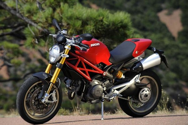 Bicicleta roja Ducatti en el fondo de la naturaleza