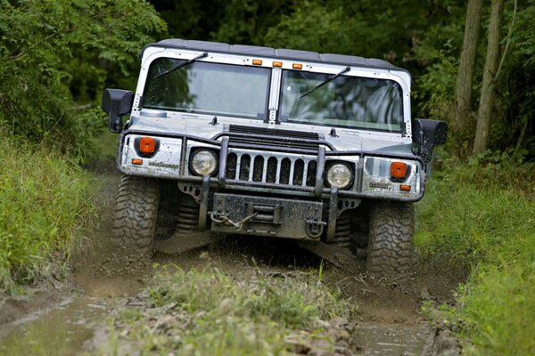 Hummer monta en un camino fangoso del bosque