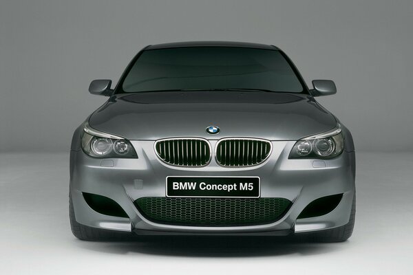 Coche confiable. Gris bmw