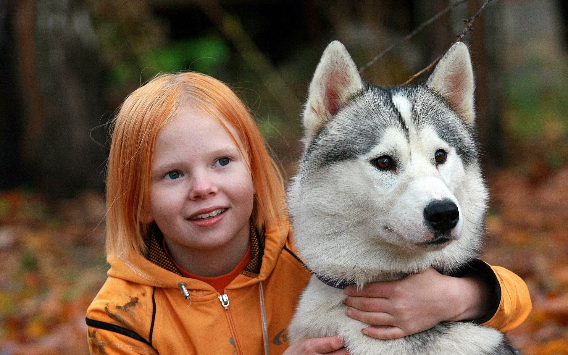 rot grau mädchen hund