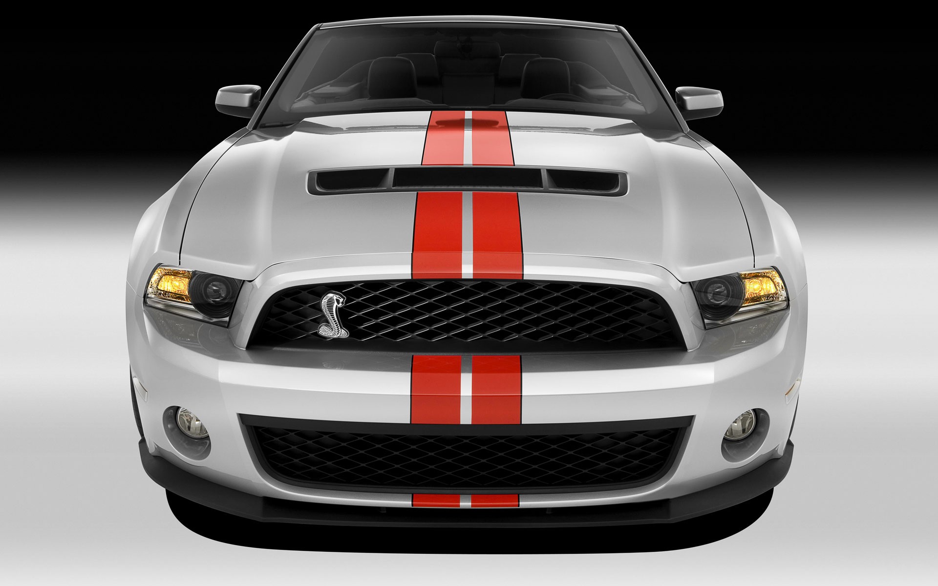 shelby gt500 blanc rayures rouges