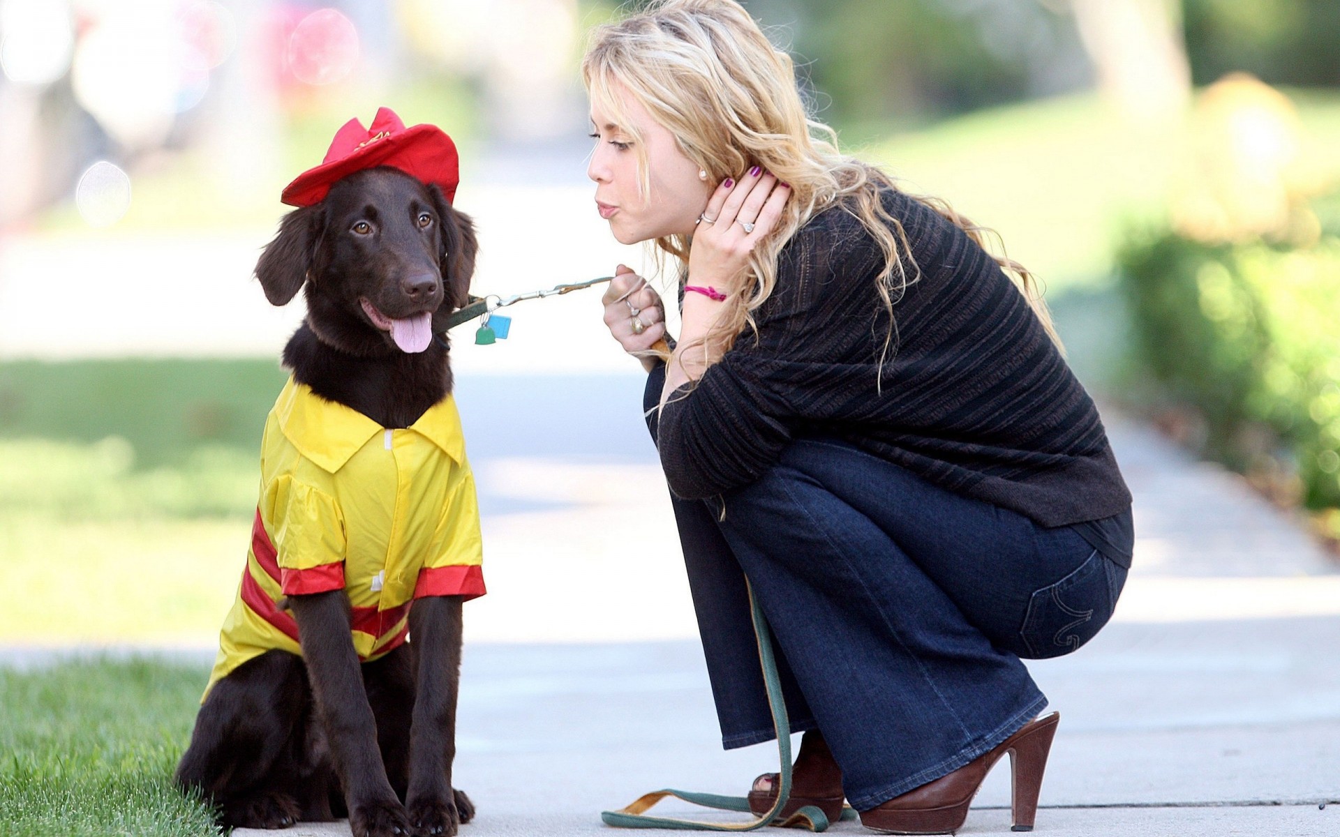 hund grau straße mädchen frau blond sport